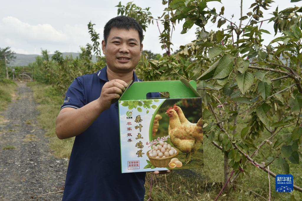 可吸式捕鱼发电机后级